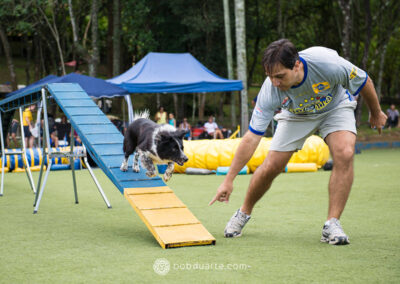 Pet Photo Dog Agility